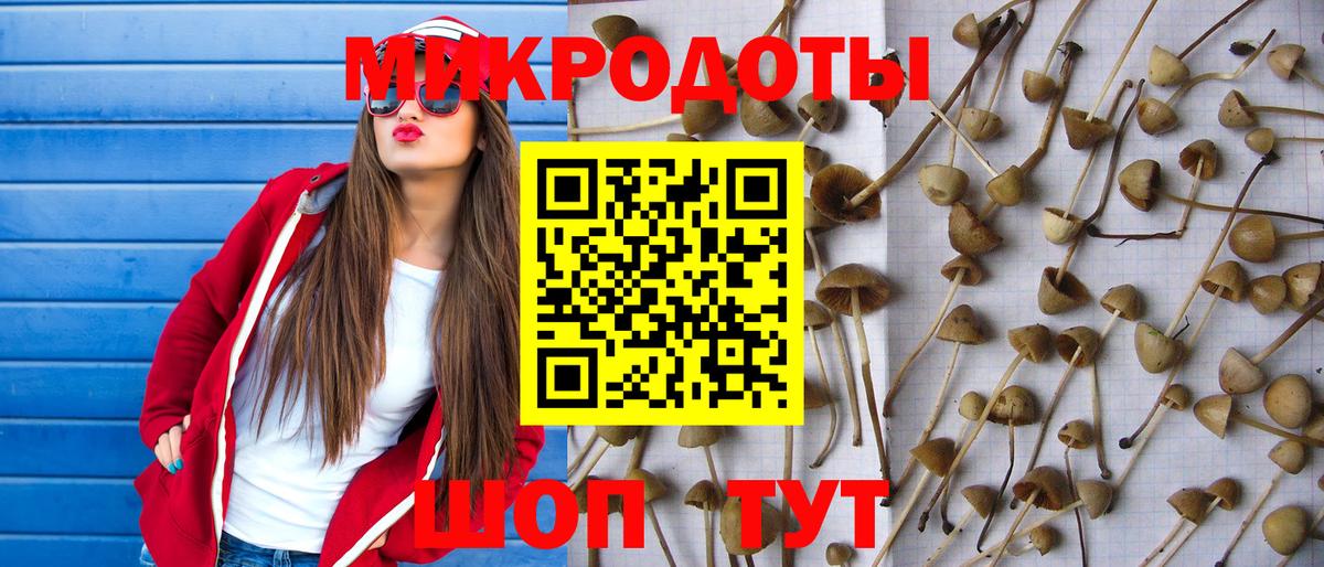 Александров  цена наркотик  Галлюциногенные грибы прущие грибы  Вход с VPN  Галлюциногенные грибы Psilocybe 